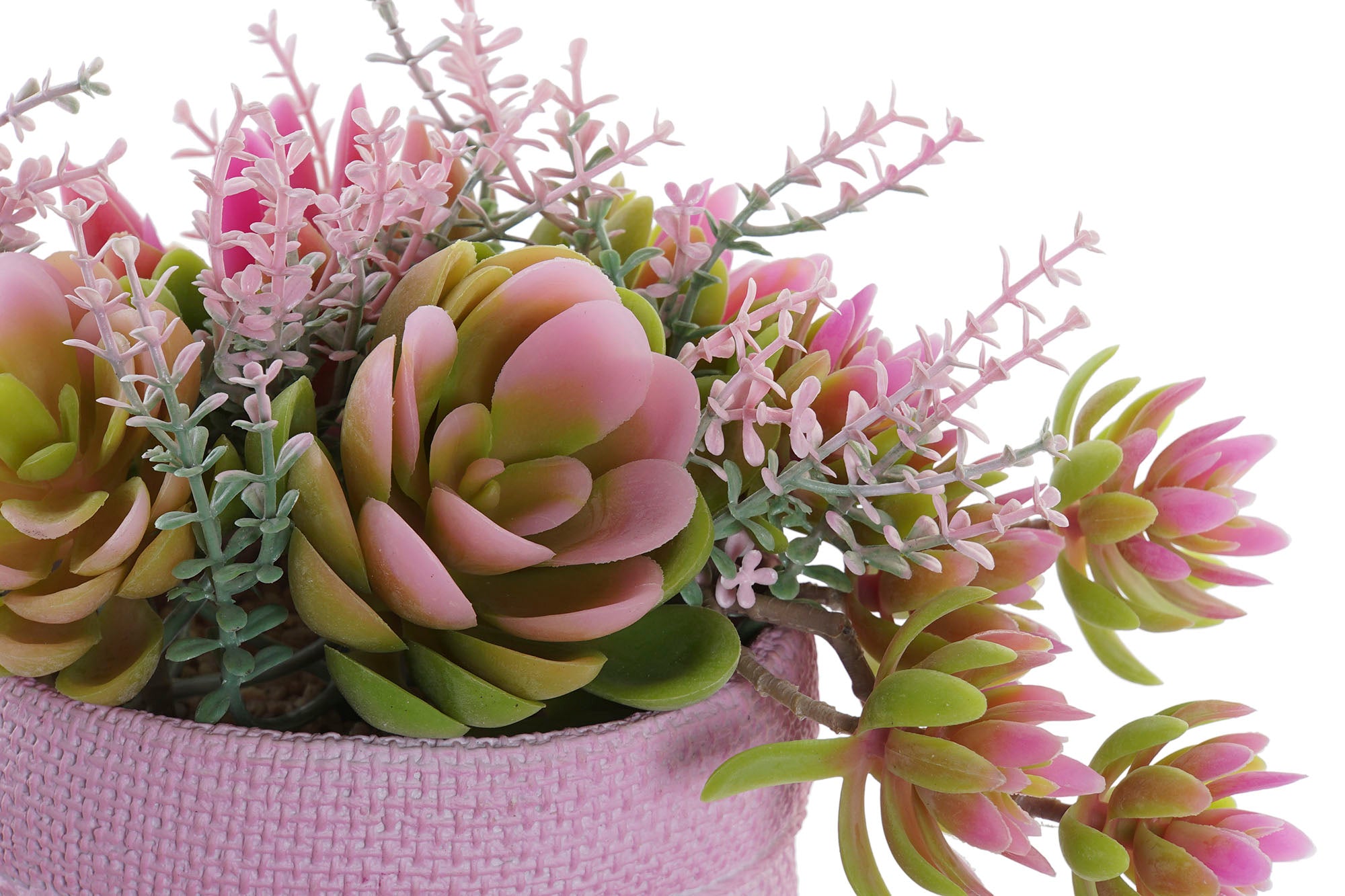 PACK DE 4 PLANTA PE EVA 17,5X14X20 2 SURT.