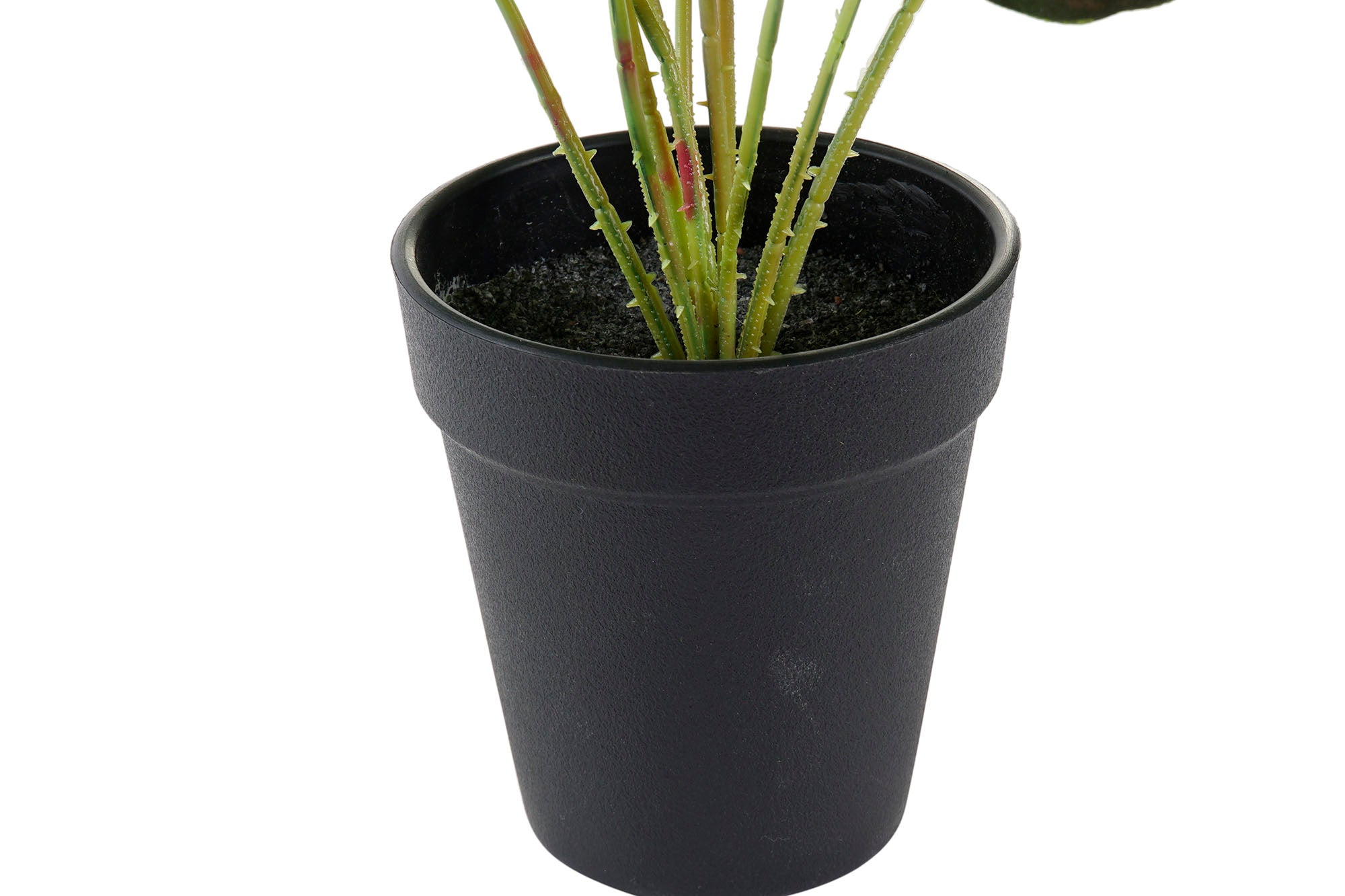 PACK DE 10 PLANTA PE 10X10X27 VERDE