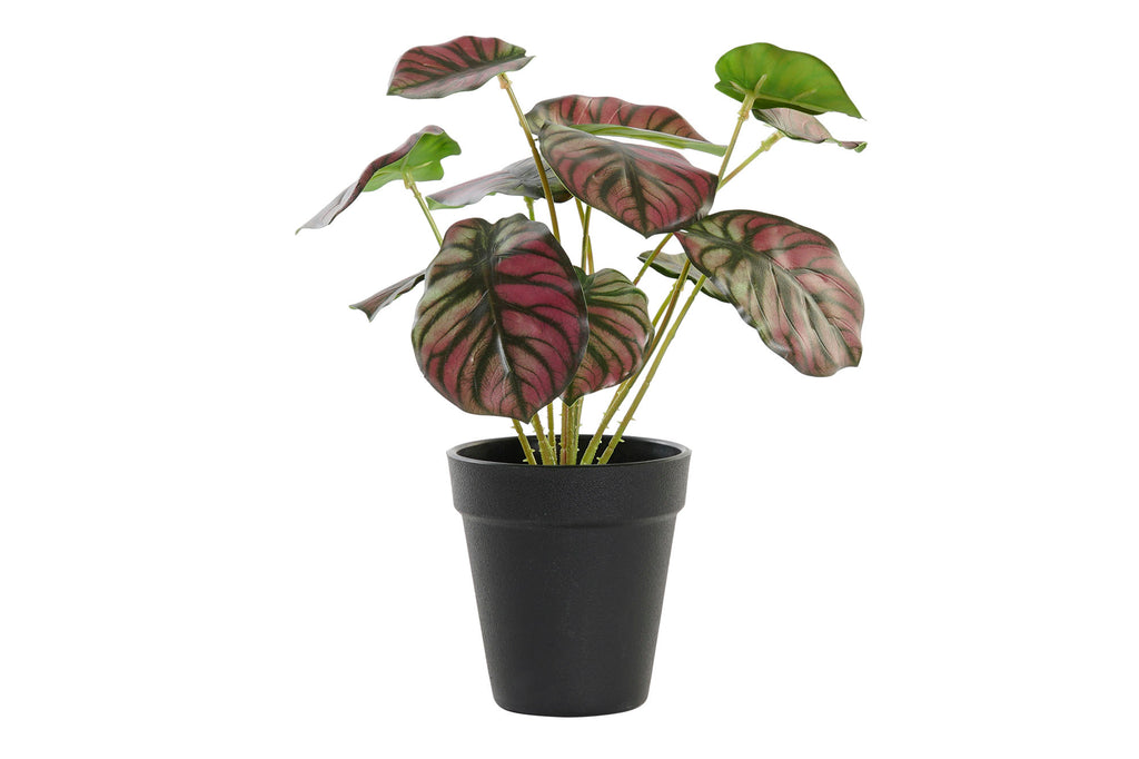 PACK DE 10 PLANTA PE 10X10X27 VERDE