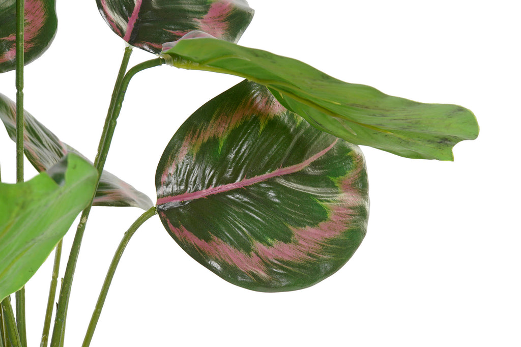 PACK DE 6 PLANTA PE 30X30X58 VERDE