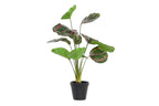 PACK DE 6 PLANTA PE 30X30X58 VERDE