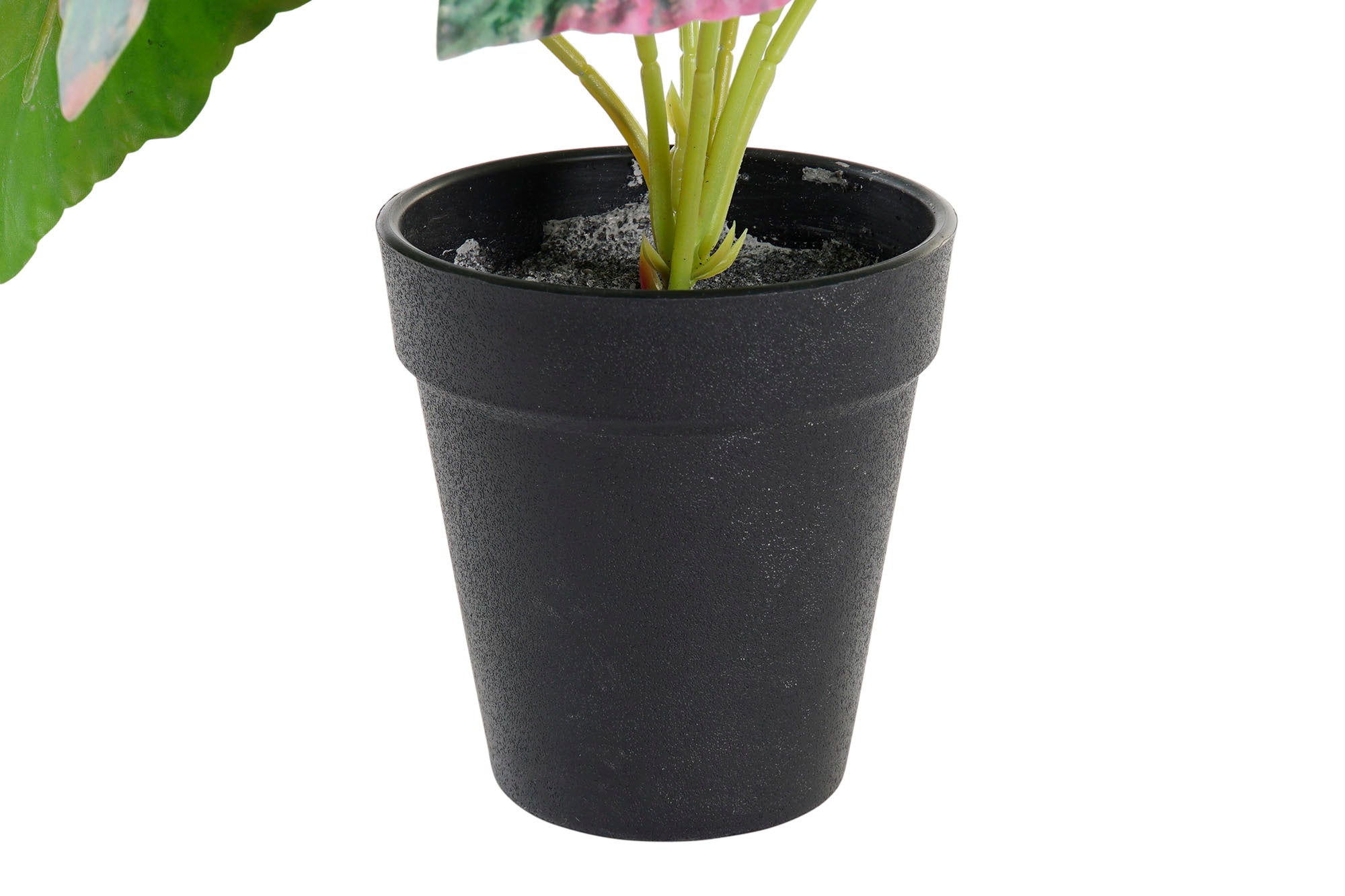 PACK DE 12 PLANTA PE 10X10X22 VERDE