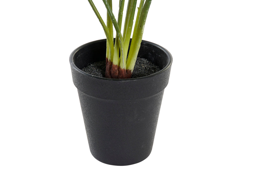 PACK DE 6 PLANTA PE 20X20X39 VERDE