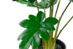 PACK DE 6 PLANTA PE 20X20X40 VERDE