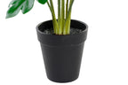 PACK DE 6 PLANTA PE 20X20X40 VERDE