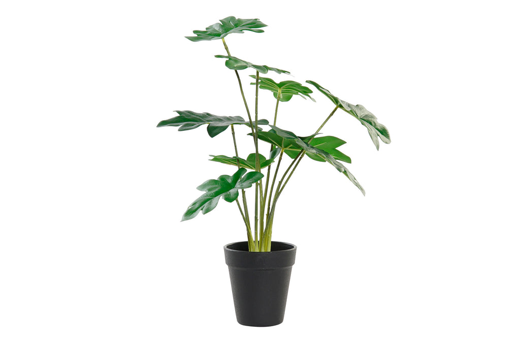 PACK DE 6 PLANTA PE 20X20X40 VERDE