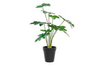 PACK DE 6 PLANTA PE 20X20X40 VERDE