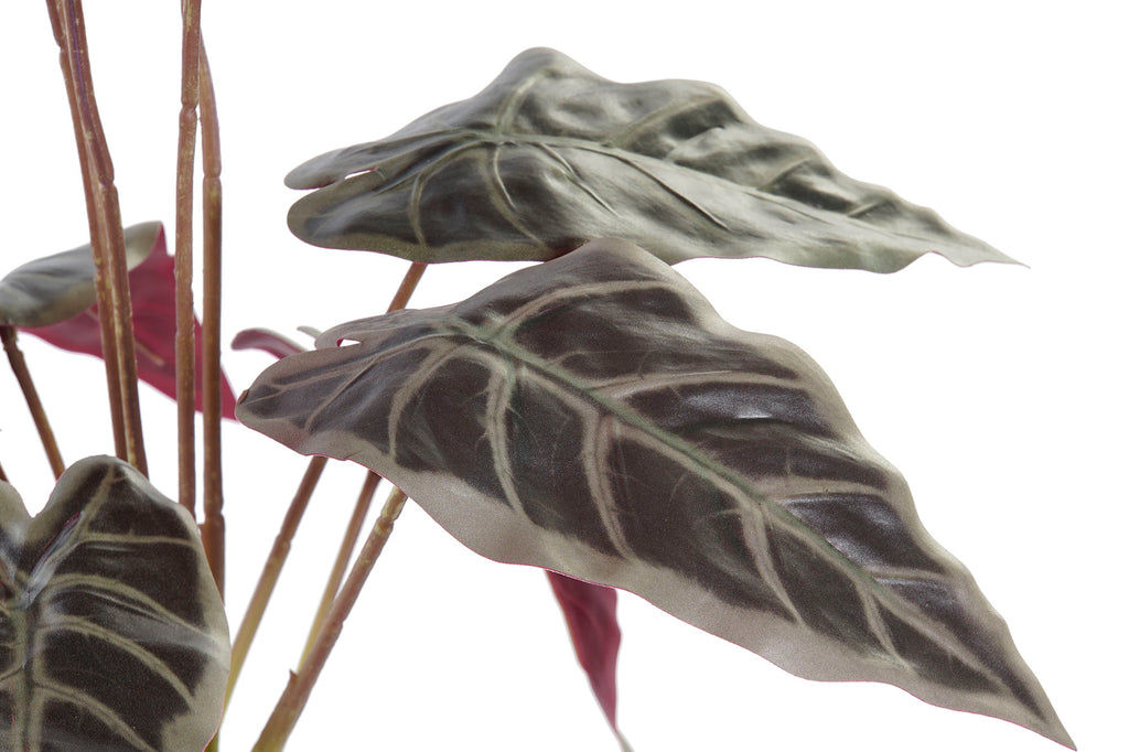 PACK DE 6 PLANTA PE 20X20X49 VERDE