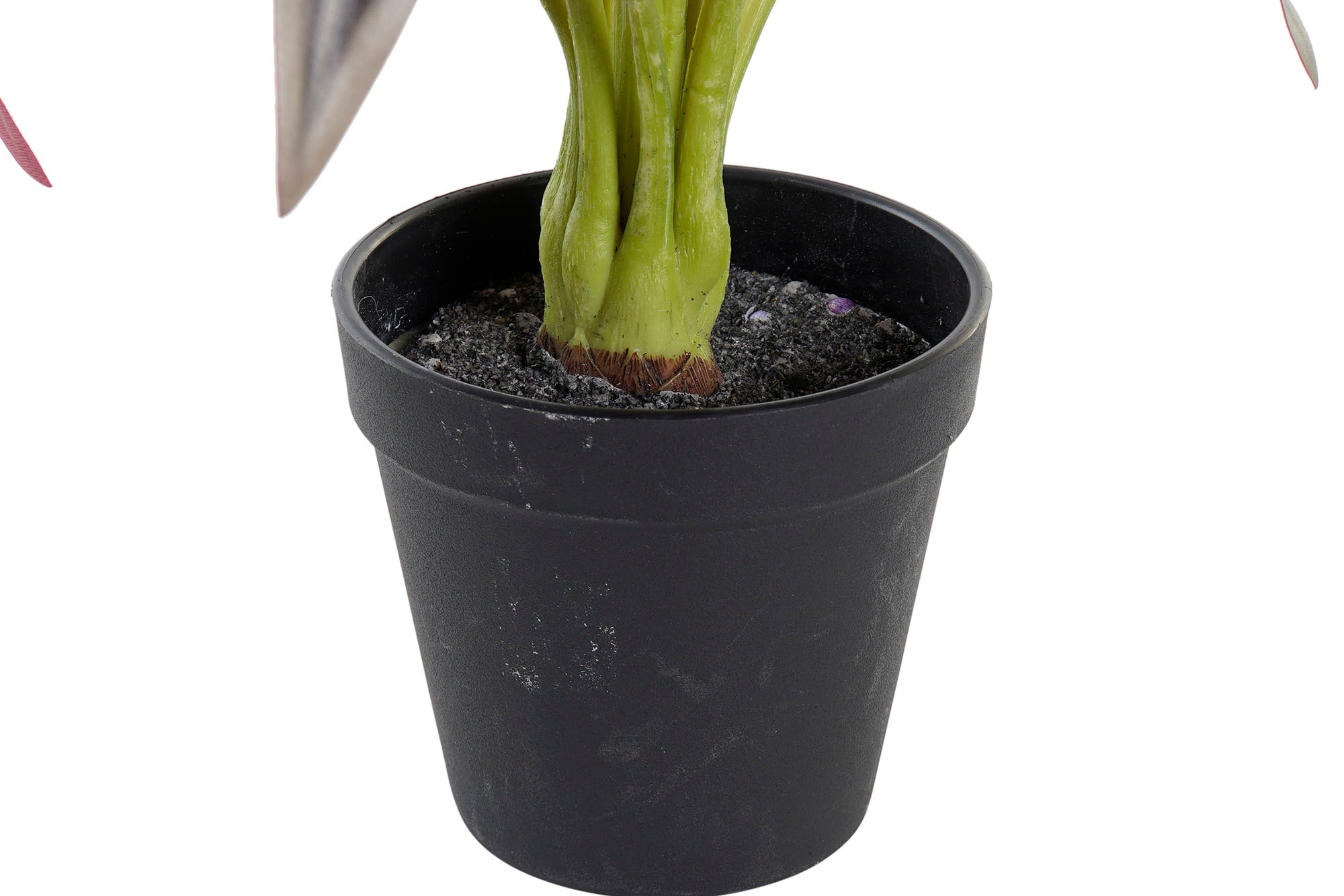 PACK DE 6 PLANTA PE 20X20X49 VERDE