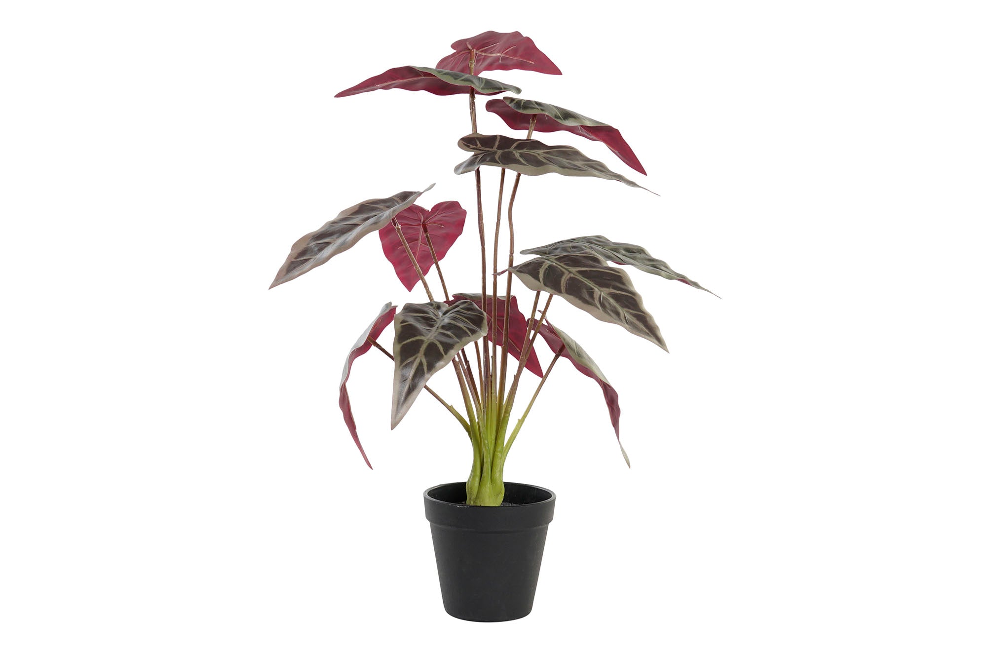 PACK DE 6 PLANTA PE 20X20X49 VERDE