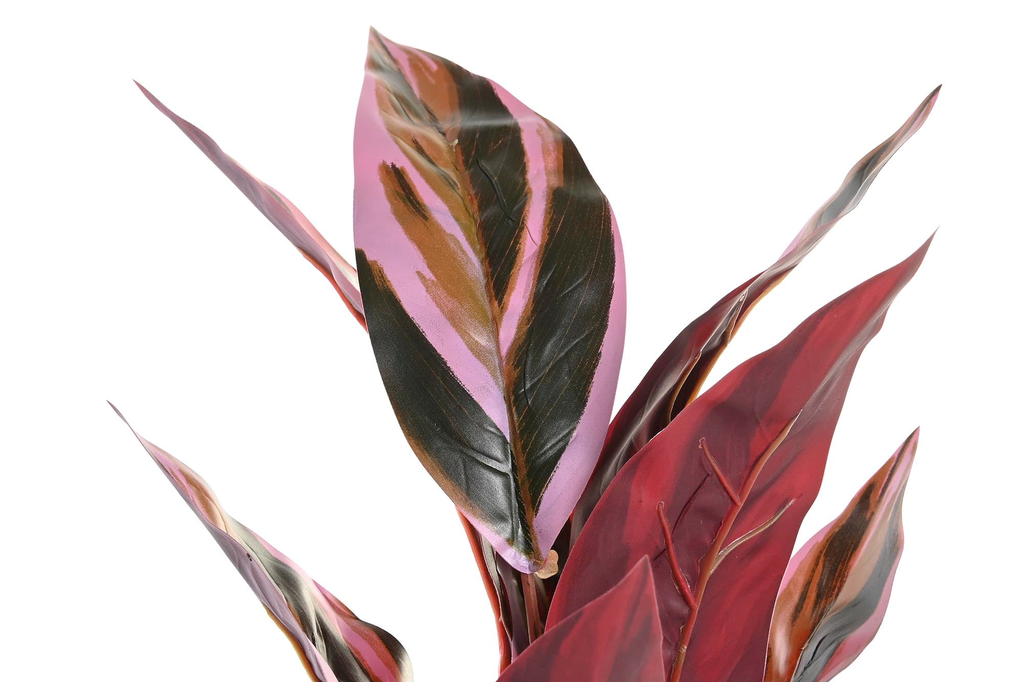 PACK DE 6 PLANTA PE 25X25X67 ROSA