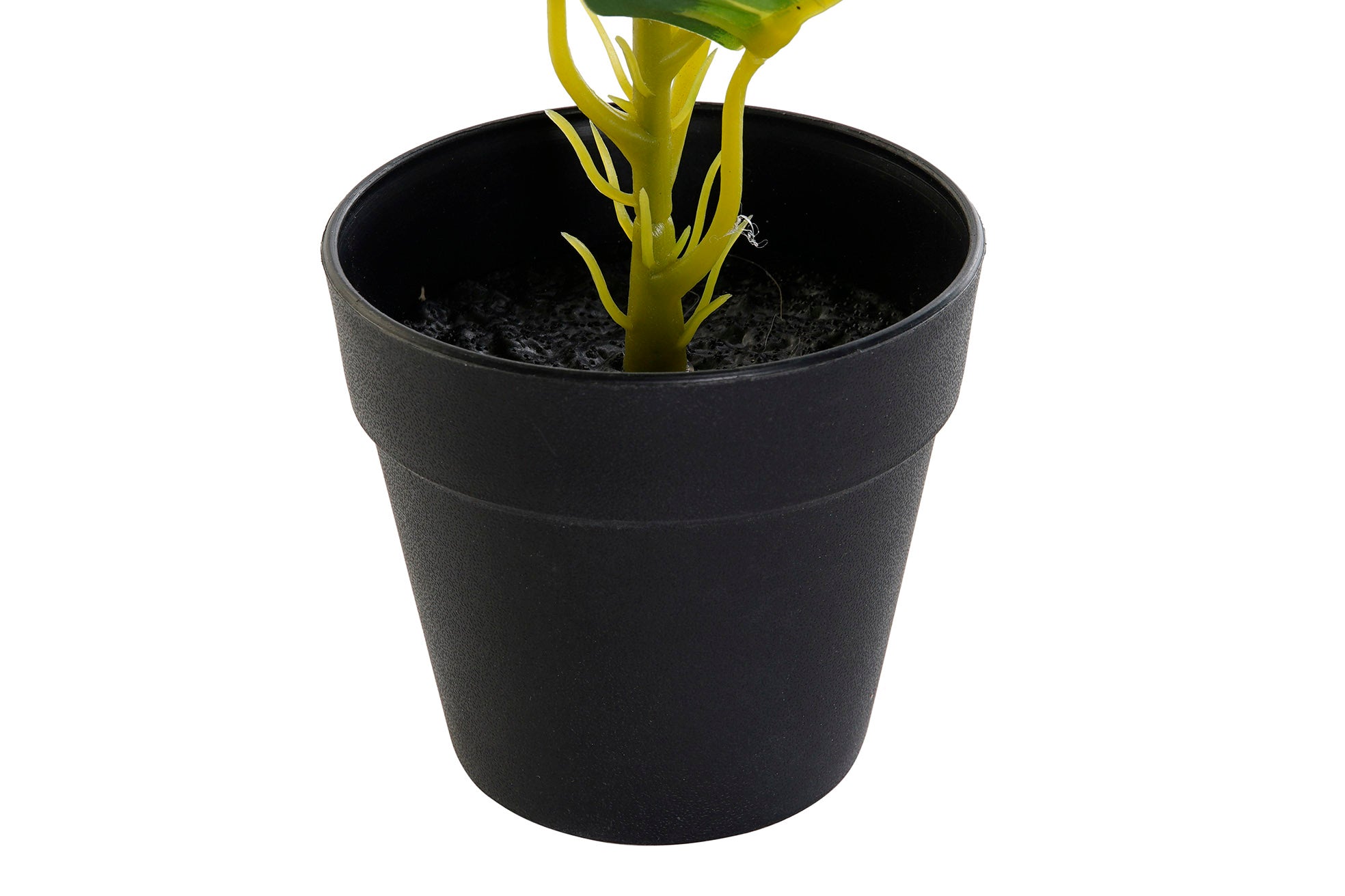 PLANTA PVC PP 25X25X30 DIEFEMBAQUIA VERDE