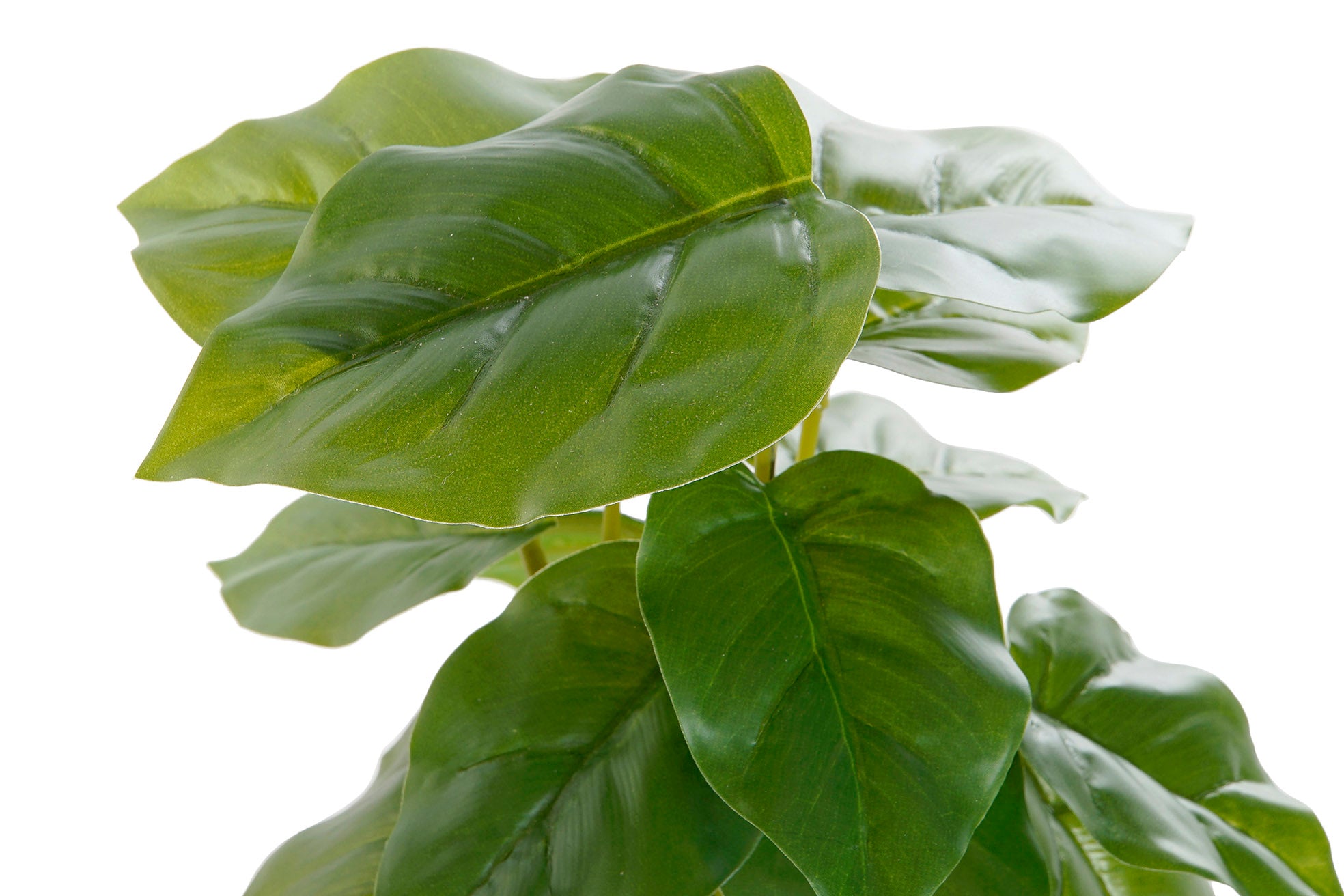 PLANTA PVC PP 20X20X30 PHILODENDRO VERDE