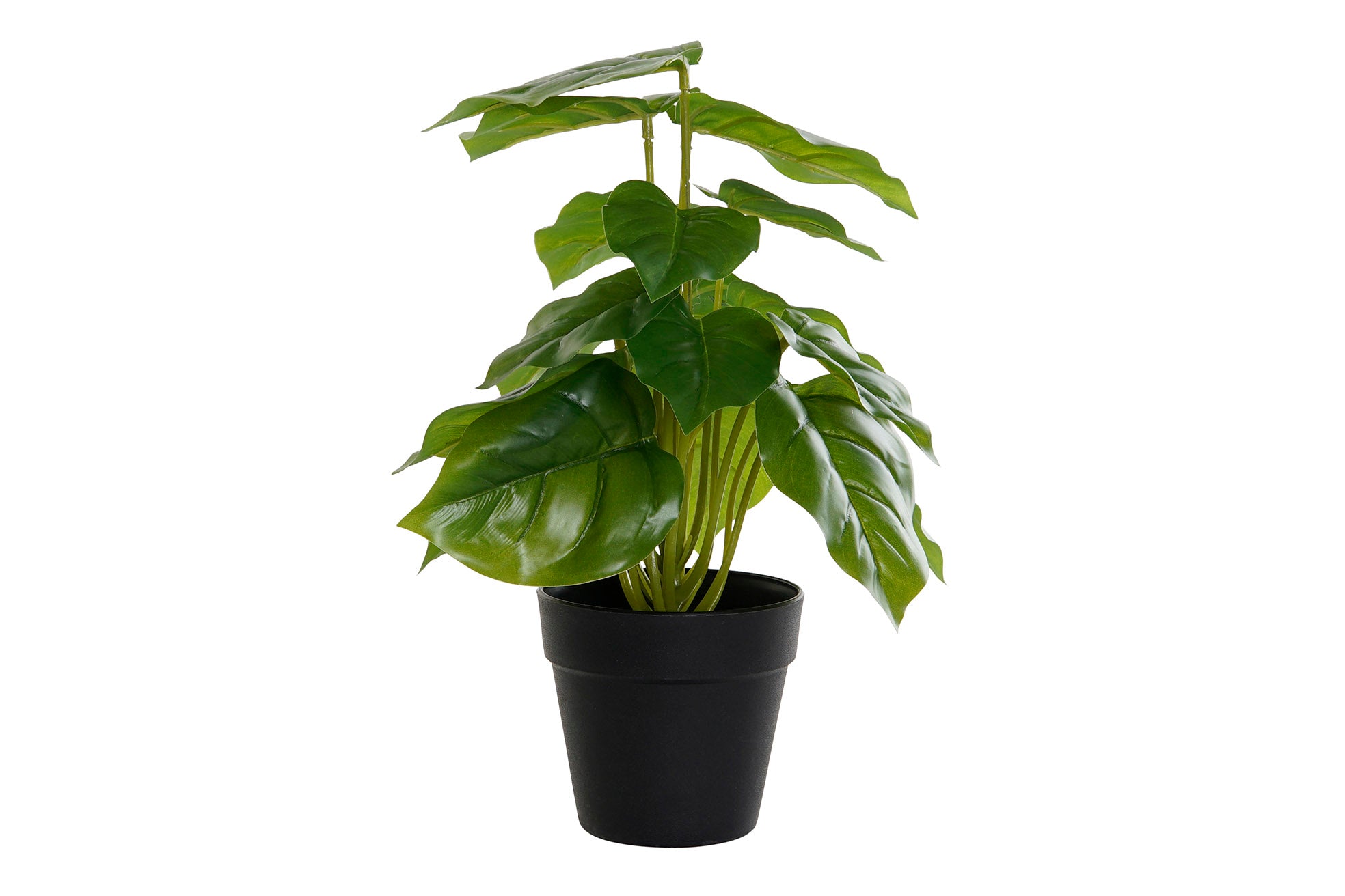 PLANTA PVC PP 20X20X30 PHILODENDRO VERDE