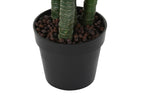 PACK DE 2 PLANTA PE 50X50X150 DIEFFENBACHIA VERDE