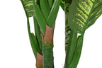 PACK DE 2 PLANTA PE 50X50X150 DIEFFENBACHIA VERDE