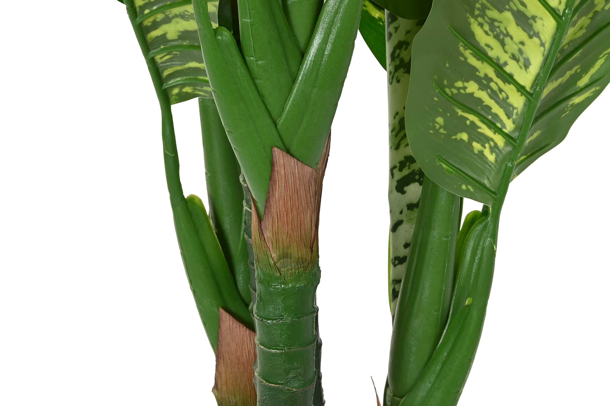 PACK DE 2 PLANTA PE 50X50X150 DIEFFENBACHIA VERDE