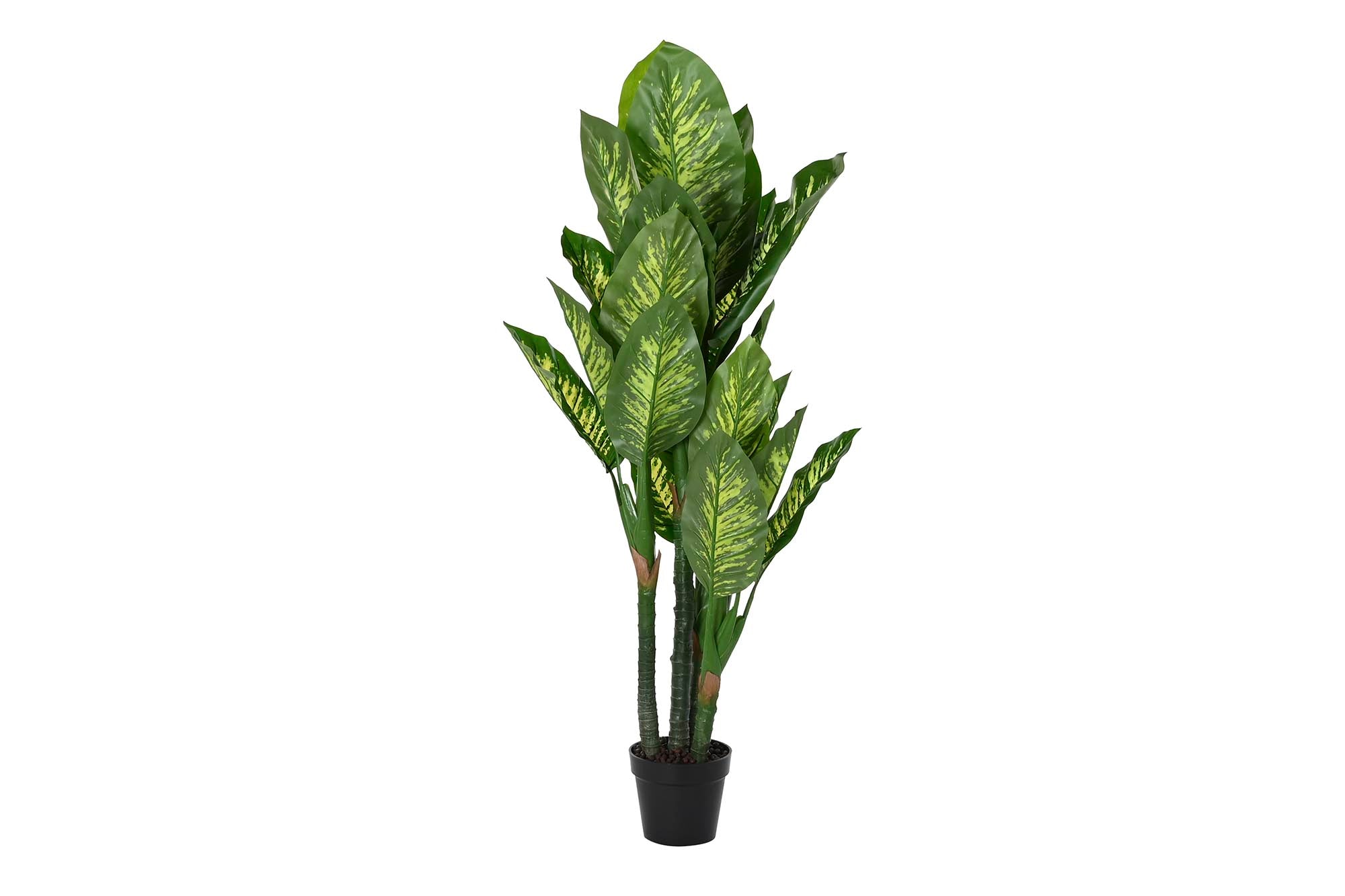 PACK DE 2 PLANTA PE 50X50X150 DIEFFENBACHIA VERDE