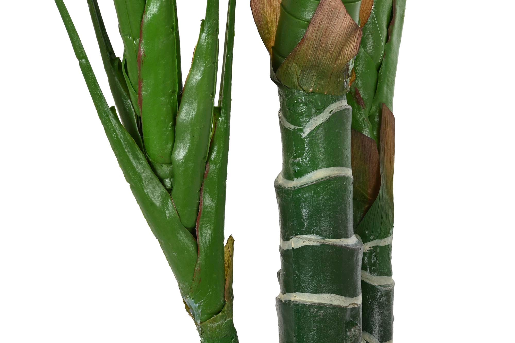 PACK DE 2 PLANTA PE 60X60X180 HIEDRA PARLOUR VERDE