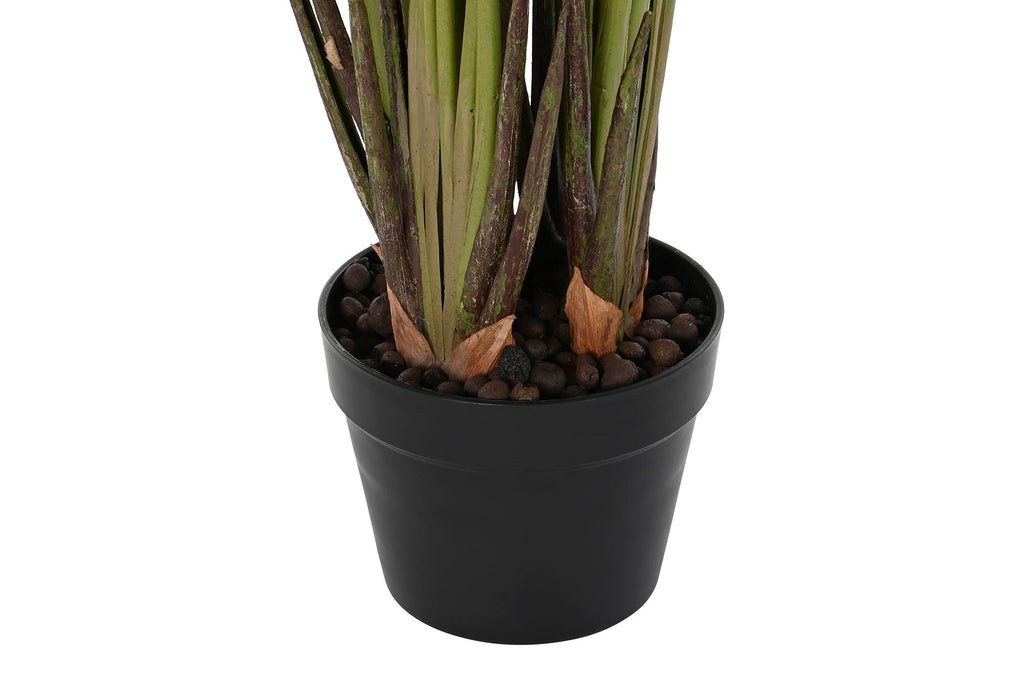 PACK DE 2 PLANTA PE 50X50X100 LIRIO DE AGUA VERDE