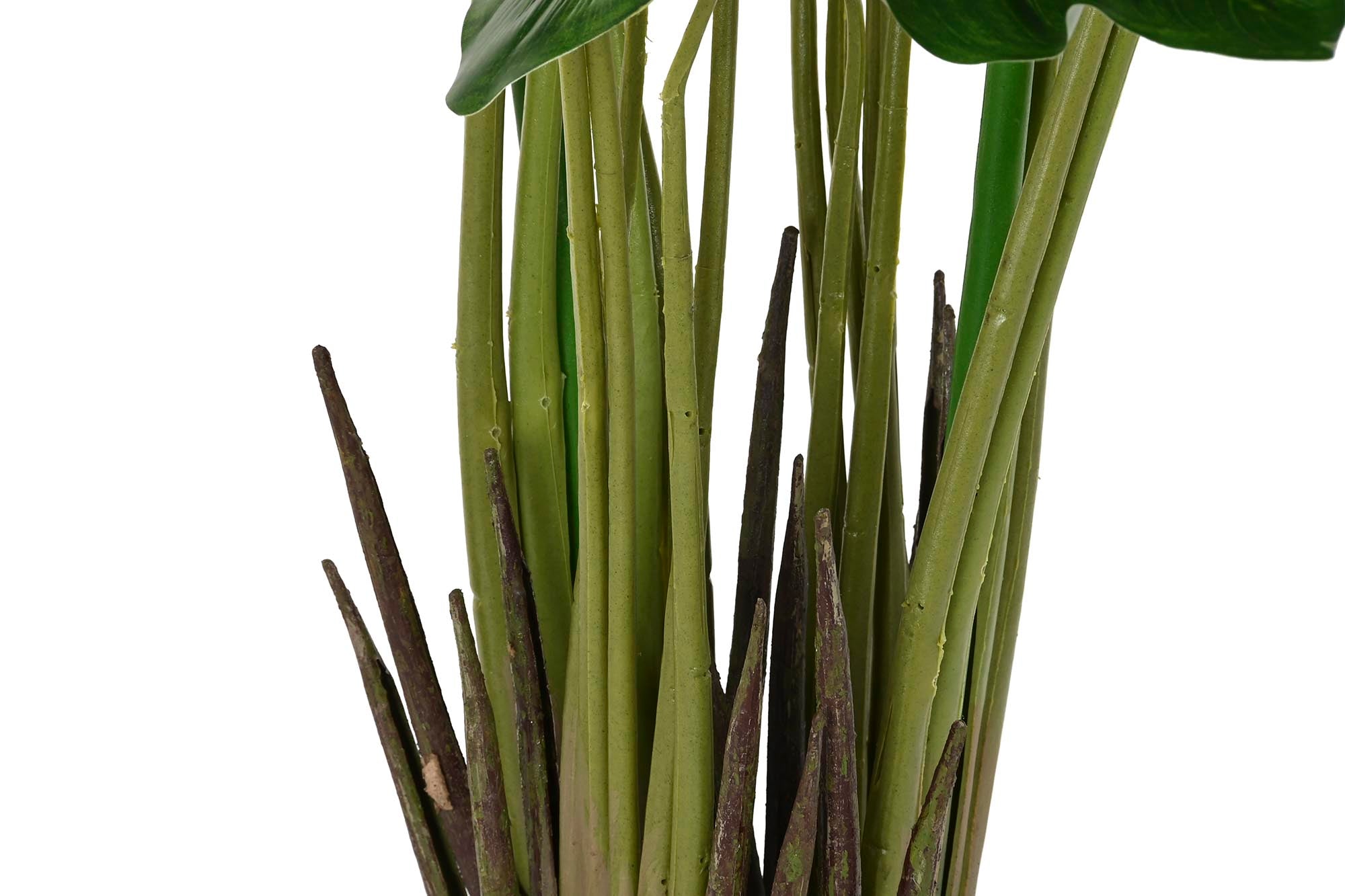 PACK DE 2 PLANTA PE 50X50X100 LIRIO DE AGUA VERDE