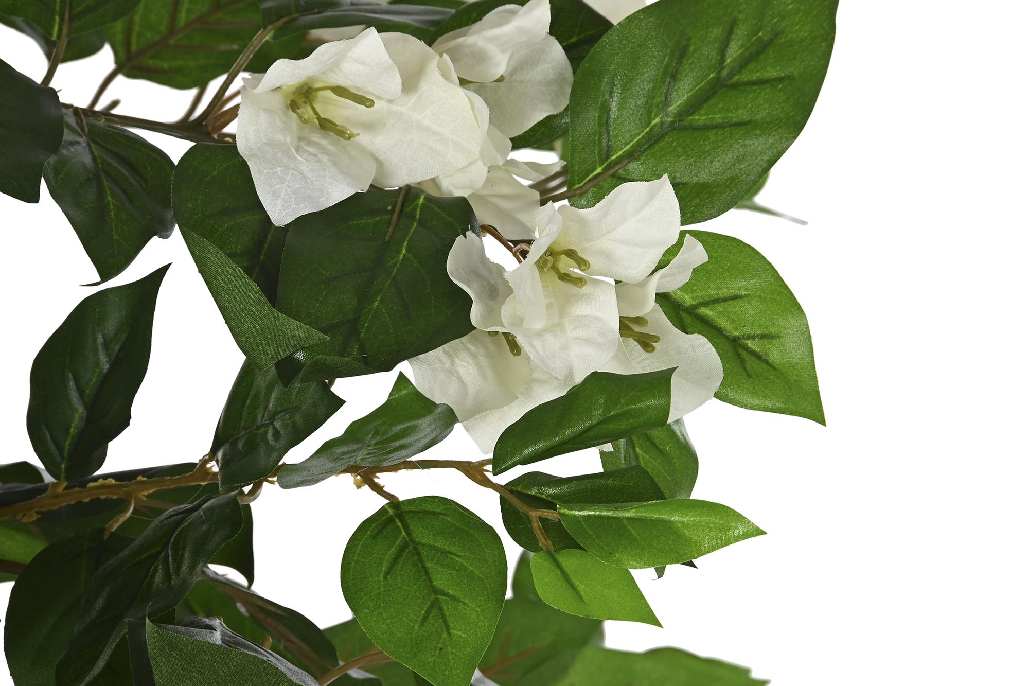 PACK DE 2 PLANTA PE 60X60X150 VERDE