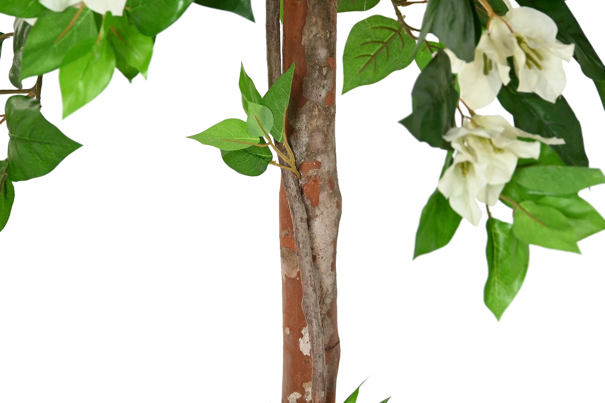 PACK DE 2 PLANTA PE 60X60X150 VERDE