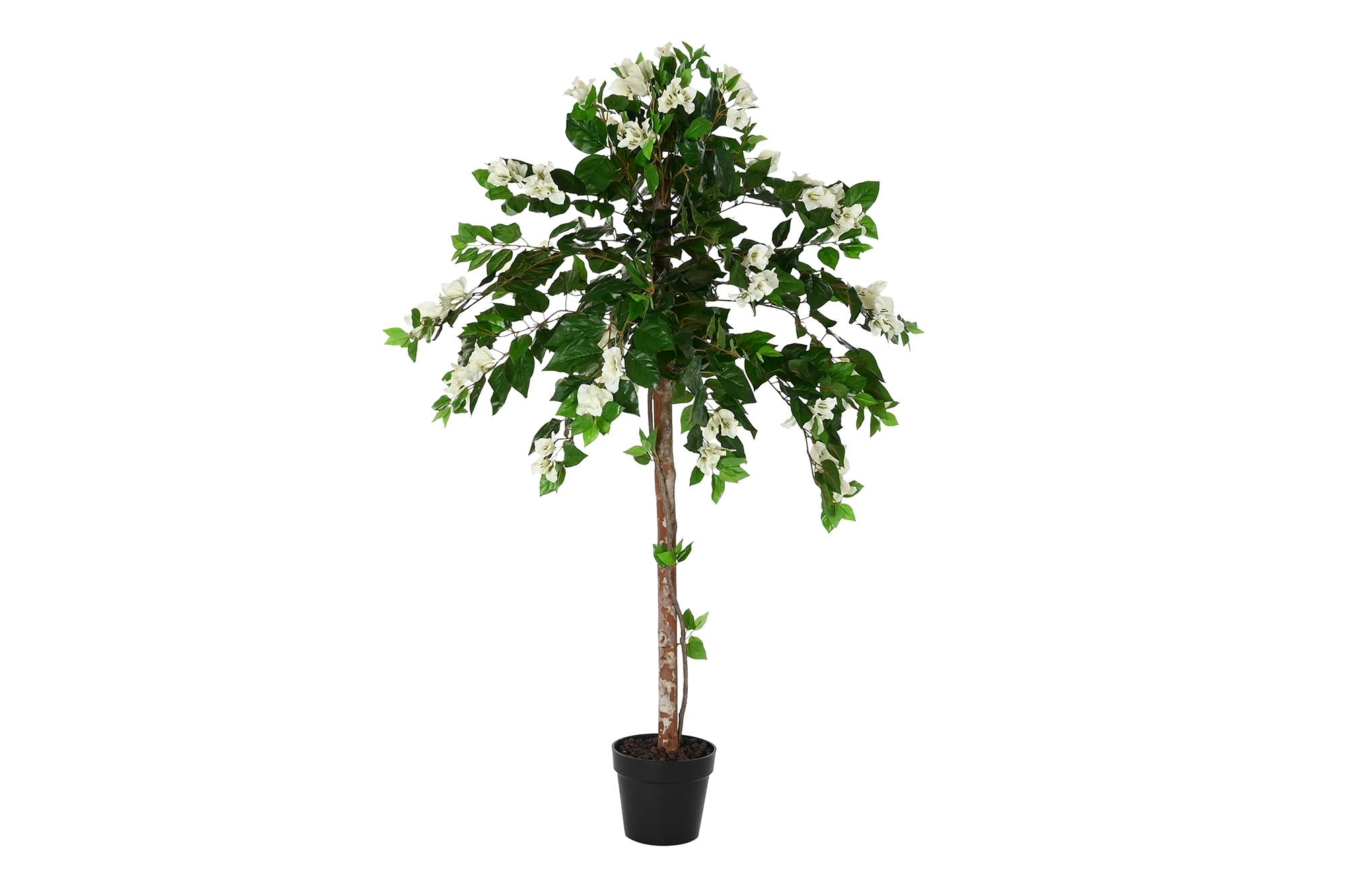 PACK DE 2 PLANTA PE 60X60X150 VERDE