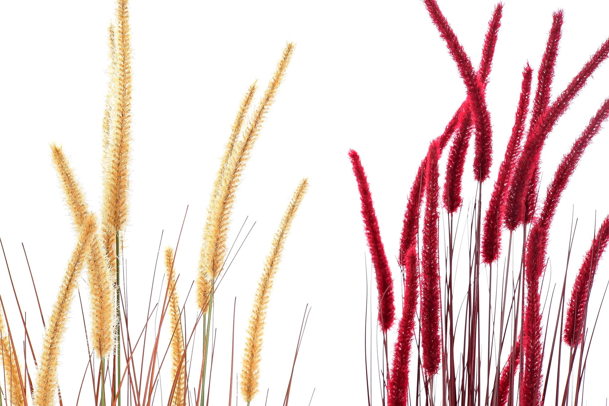 PACK DE 2 PLANTA PE PVC 30X30X150 ESPIGAS 2 SURT.