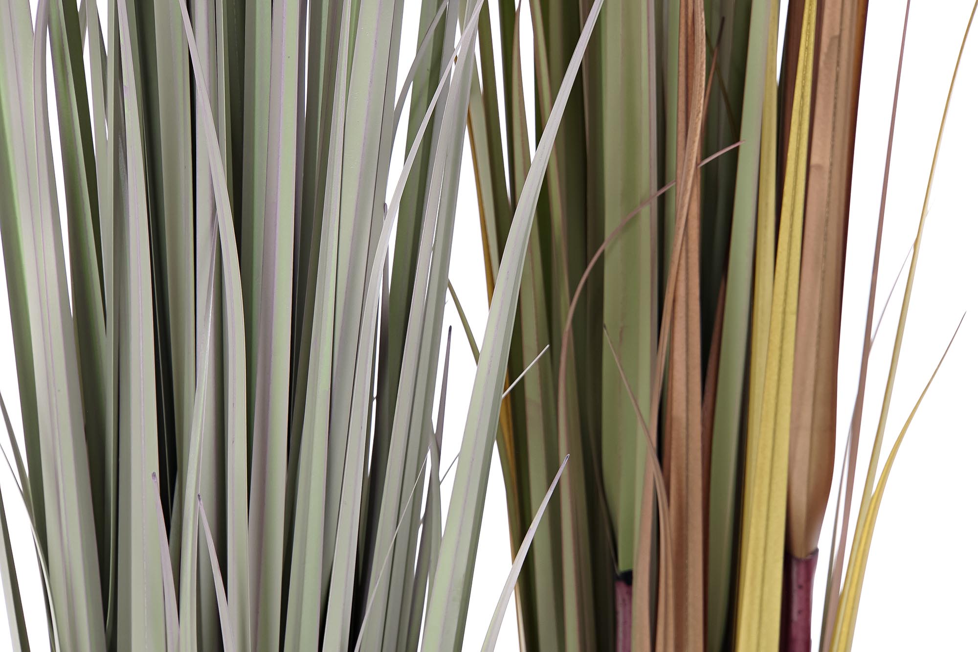 PACK DE 4 PLANTA PE 20X20X120 2 SURT.