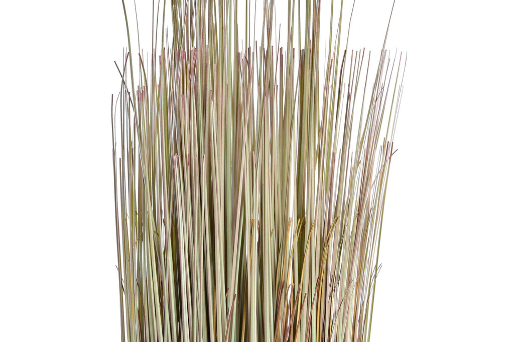 PACK DE 2 PLANTA PE 25X25X68 2 SURT.