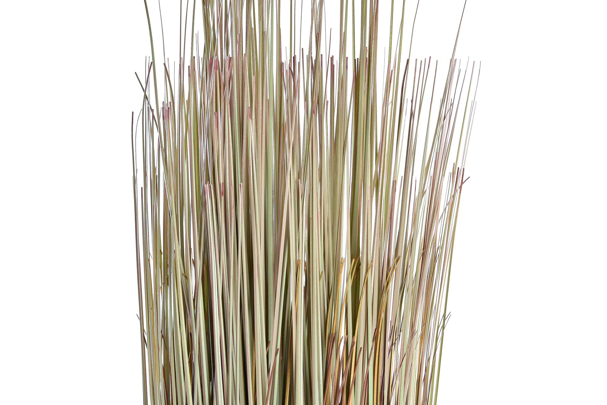 PACK DE 2 PLANTA PE 25X25X68 2 SURT.