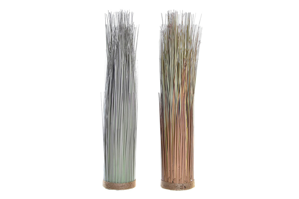 PACK DE 2 PLANTA PE 25X25X68 2 SURT.