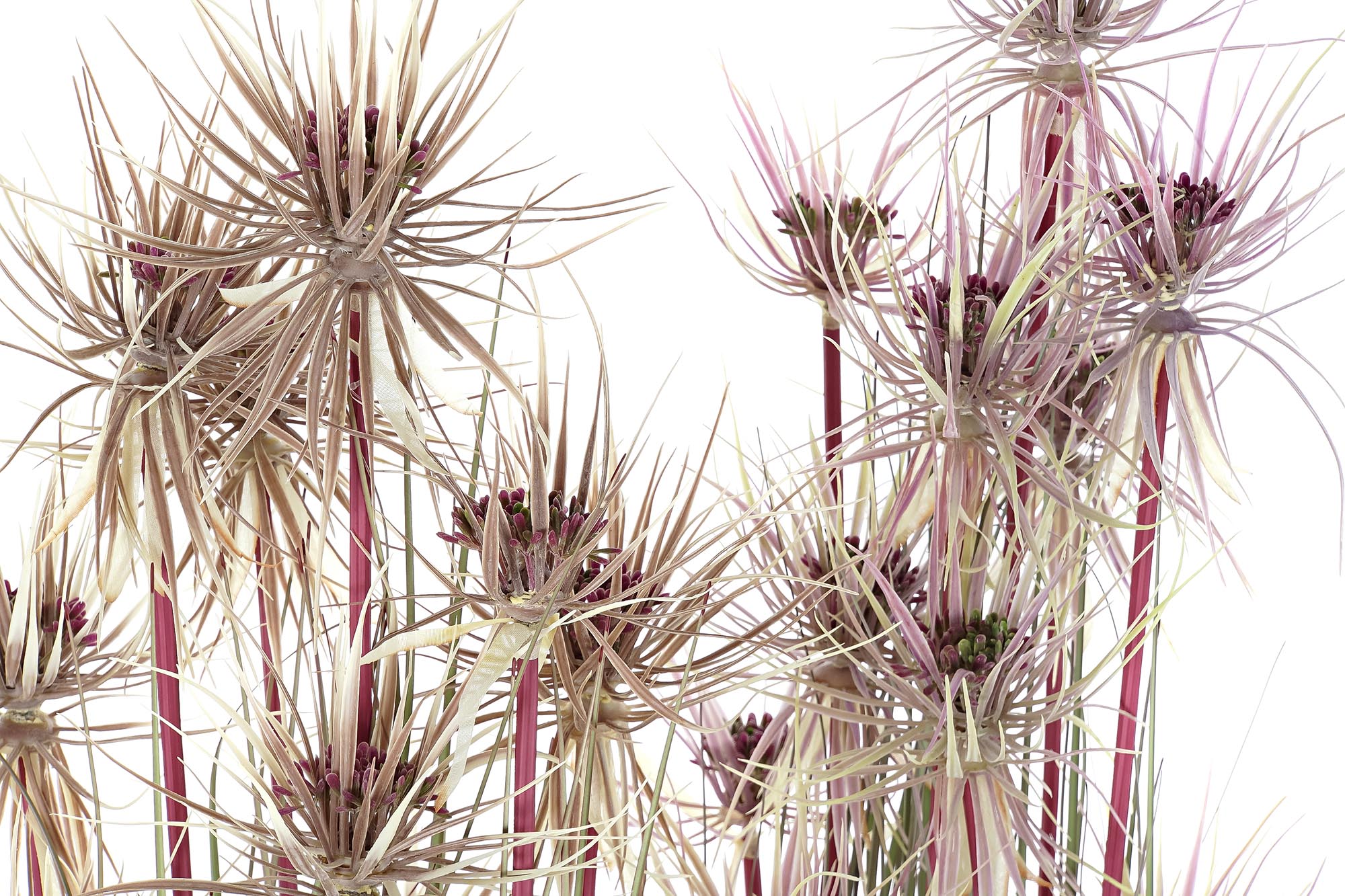 PACK DE 2 PLANTA PE PVC 40X40X120 2 SURT.