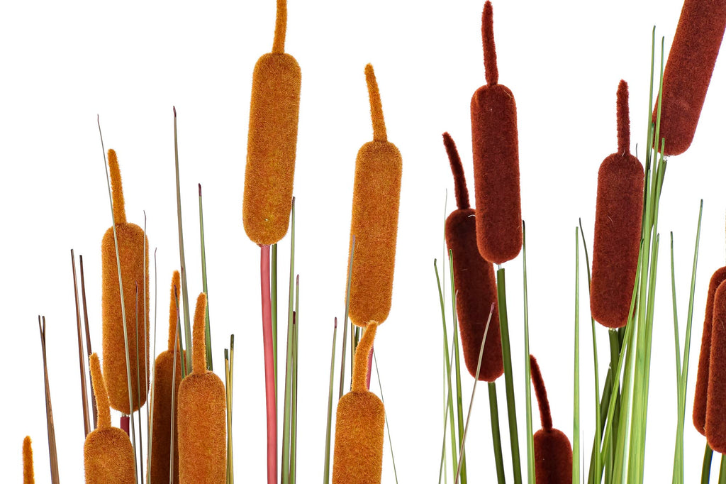 PACK DE 2 PLANTA PE PVC 40X40X120 ESPADAÑA 2 SURT.