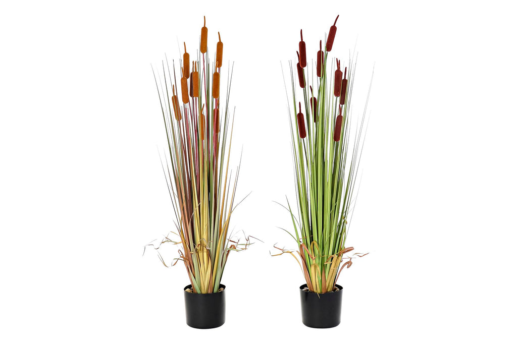 PACK DE 2 PLANTA PE PVC 40X40X120 ESPADAÑA 2 SURT.