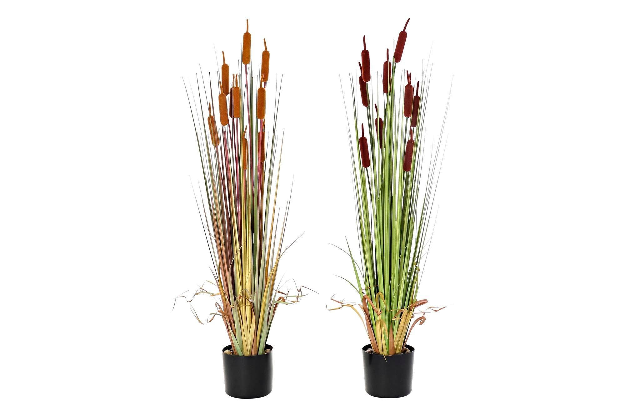 PACK DE 2 PLANTA PE PVC 40X40X120 ESPADAÑA 2 SURT.