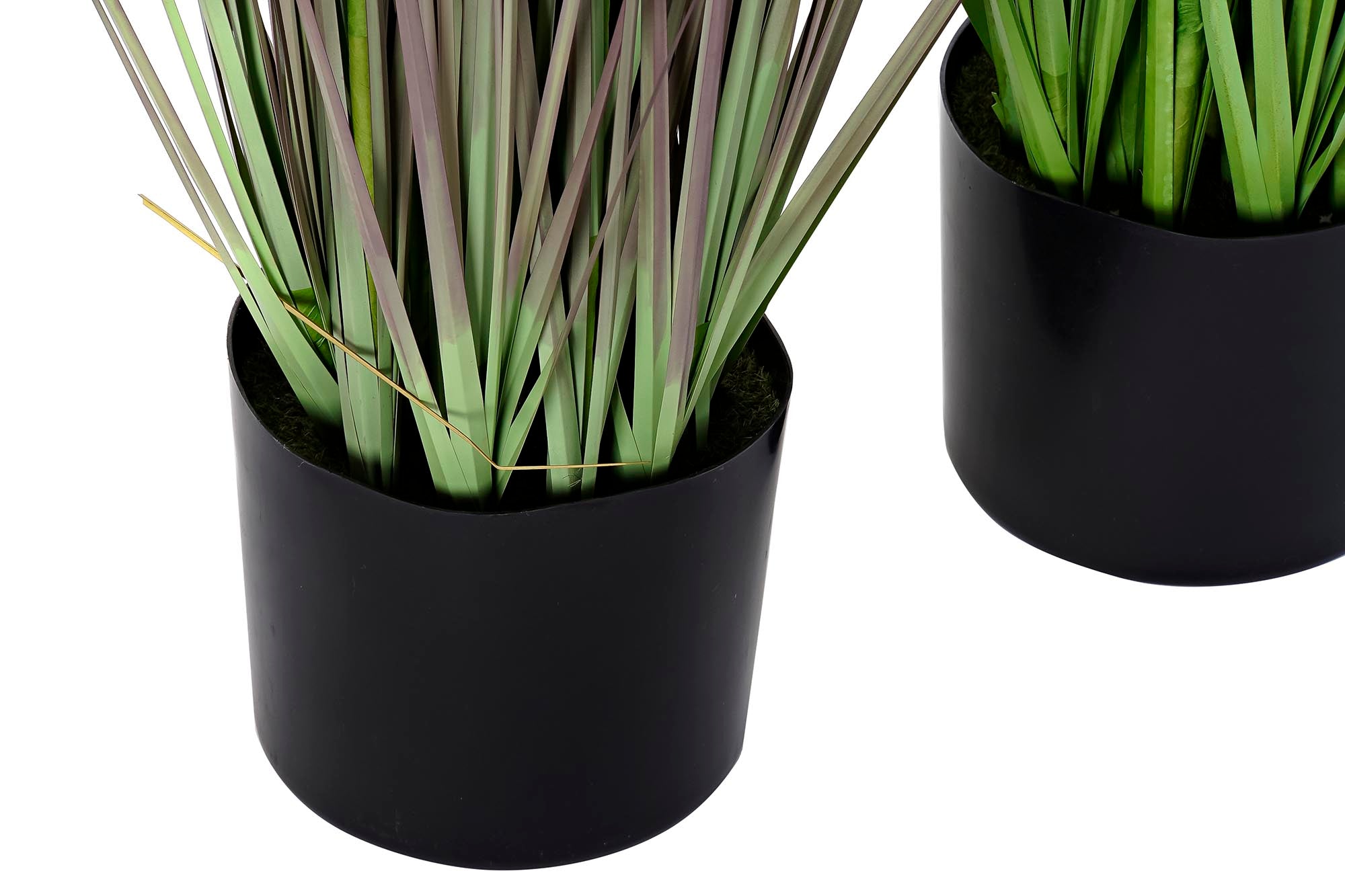 PACK DE 2 PLANTA PE PVC 40X40X150 ERIZO 2 SURT.