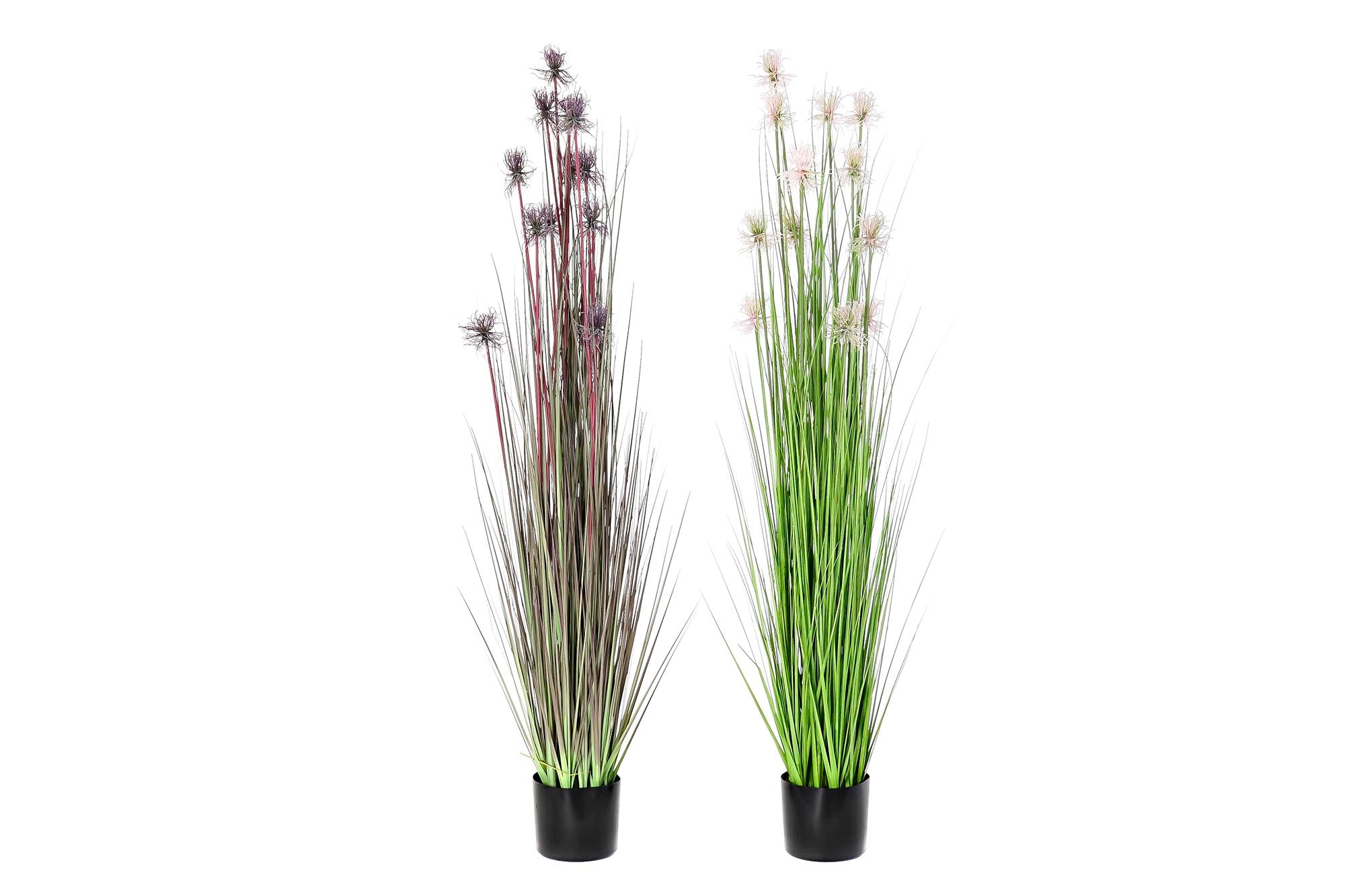 PACK DE 2 PLANTA PE PVC 40X40X150 ERIZO 2 SURT.