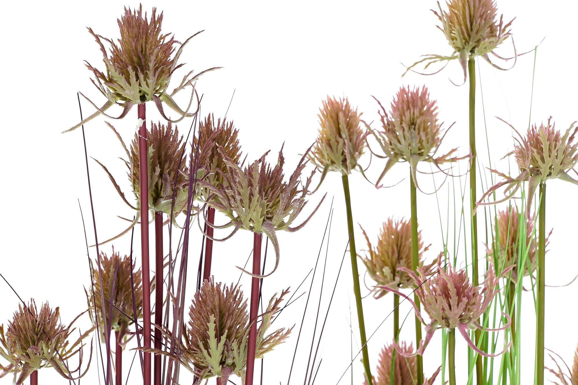 PACK DE 2 PLANTA PE PVC 40X40X150 CARDO 2 SURT.