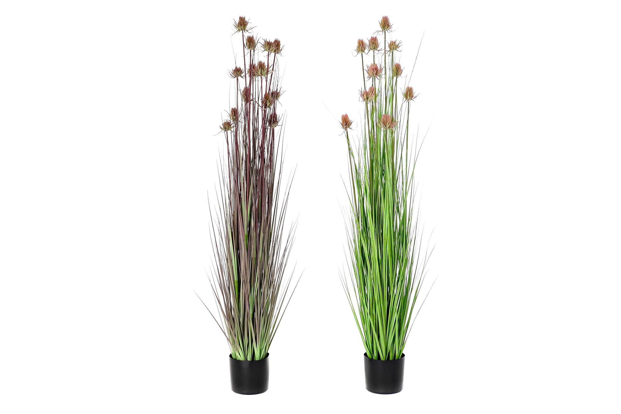 PACK DE 2 PLANTA PE PVC 40X40X150 CARDO 2 SURT.