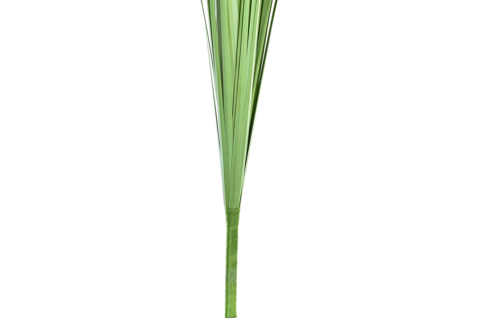 PACK DE 12 RAMA PE 12X12X100 POMPON AMARILLO