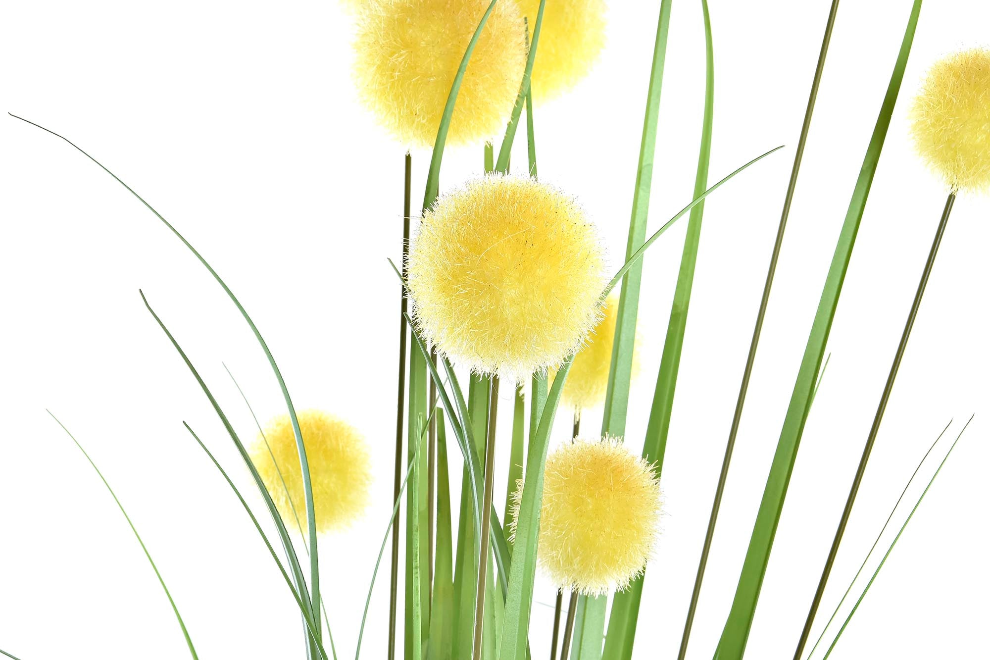 PACK DE 12 RAMA PE 12X12X100 POMPON AMARILLO