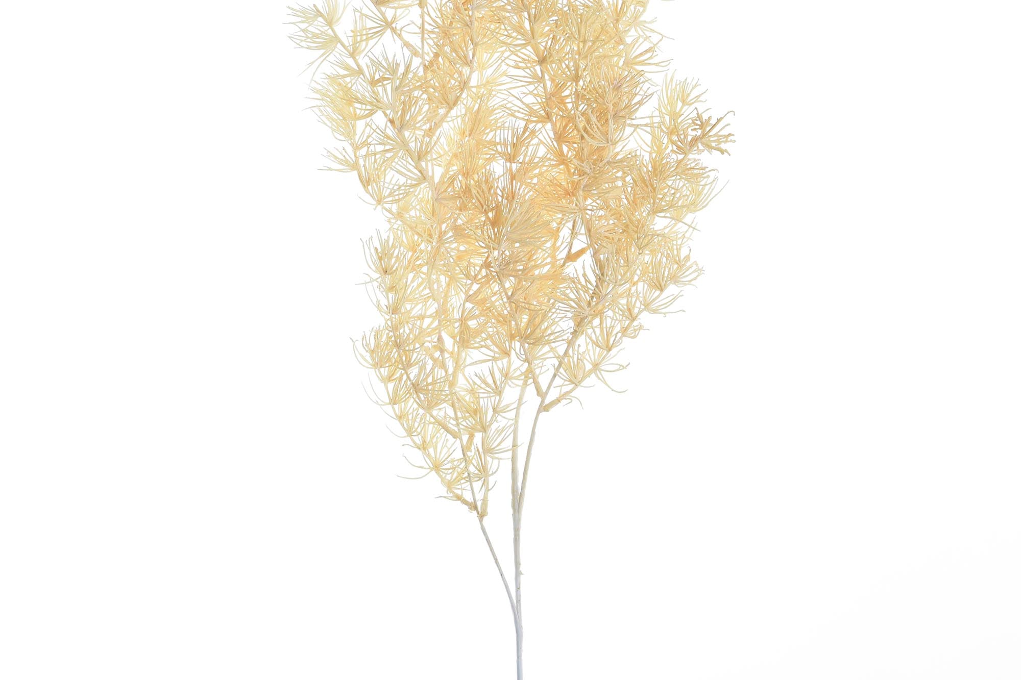 PACK DE 12 RAMA PE 40X20X108 2 SURT.