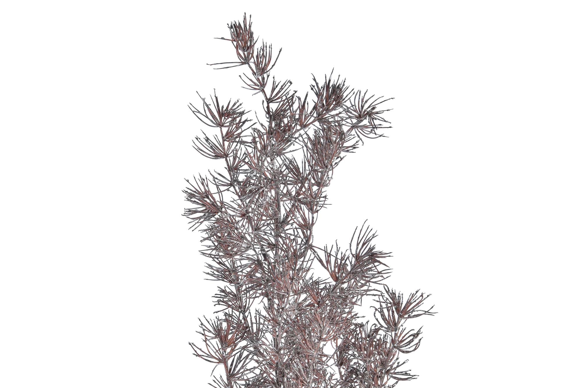 PACK DE 12 RAMA PE 40X20X108 2 SURT.