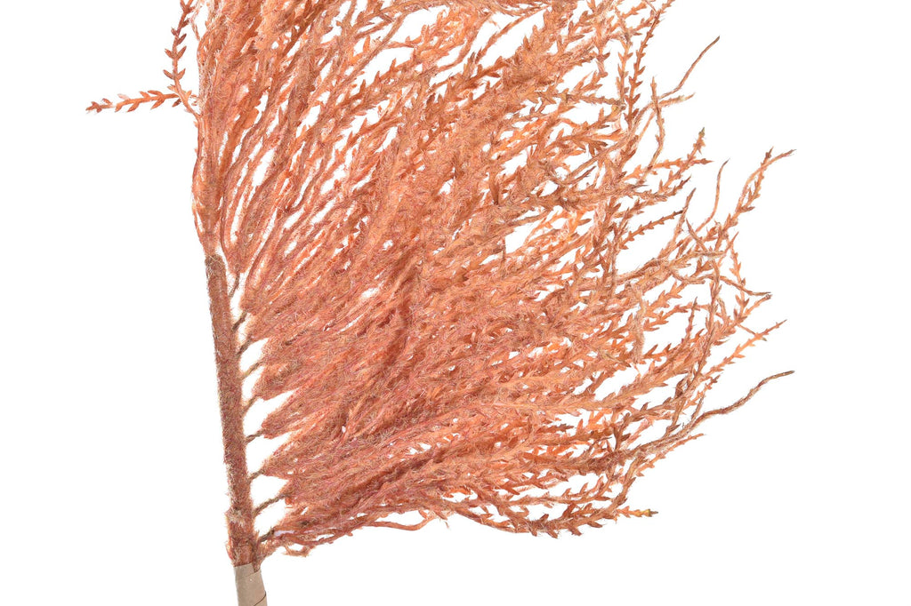 PACK DE 12 RAMA PE 40X10X130 PLUMERO 2 SURT.