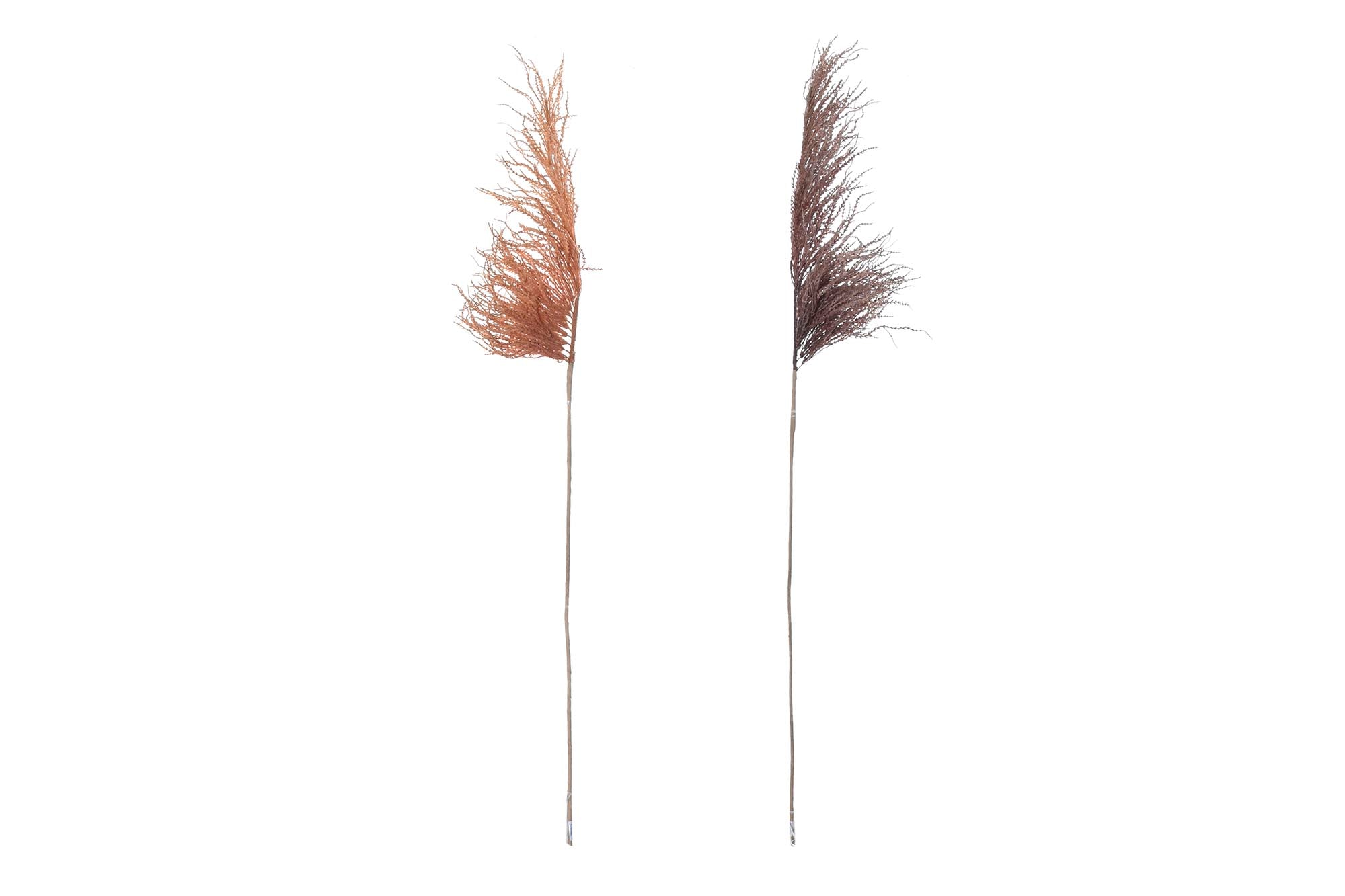 PACK DE 12 RAMA PE 40X10X130 PLUMERO 2 SURT.