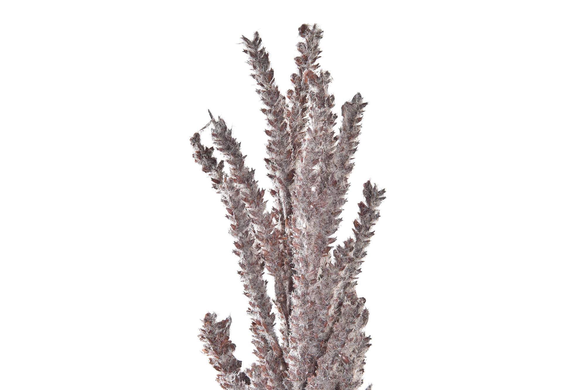 PACK DE 12 RAMA PE 10X10X96 2 SURT.