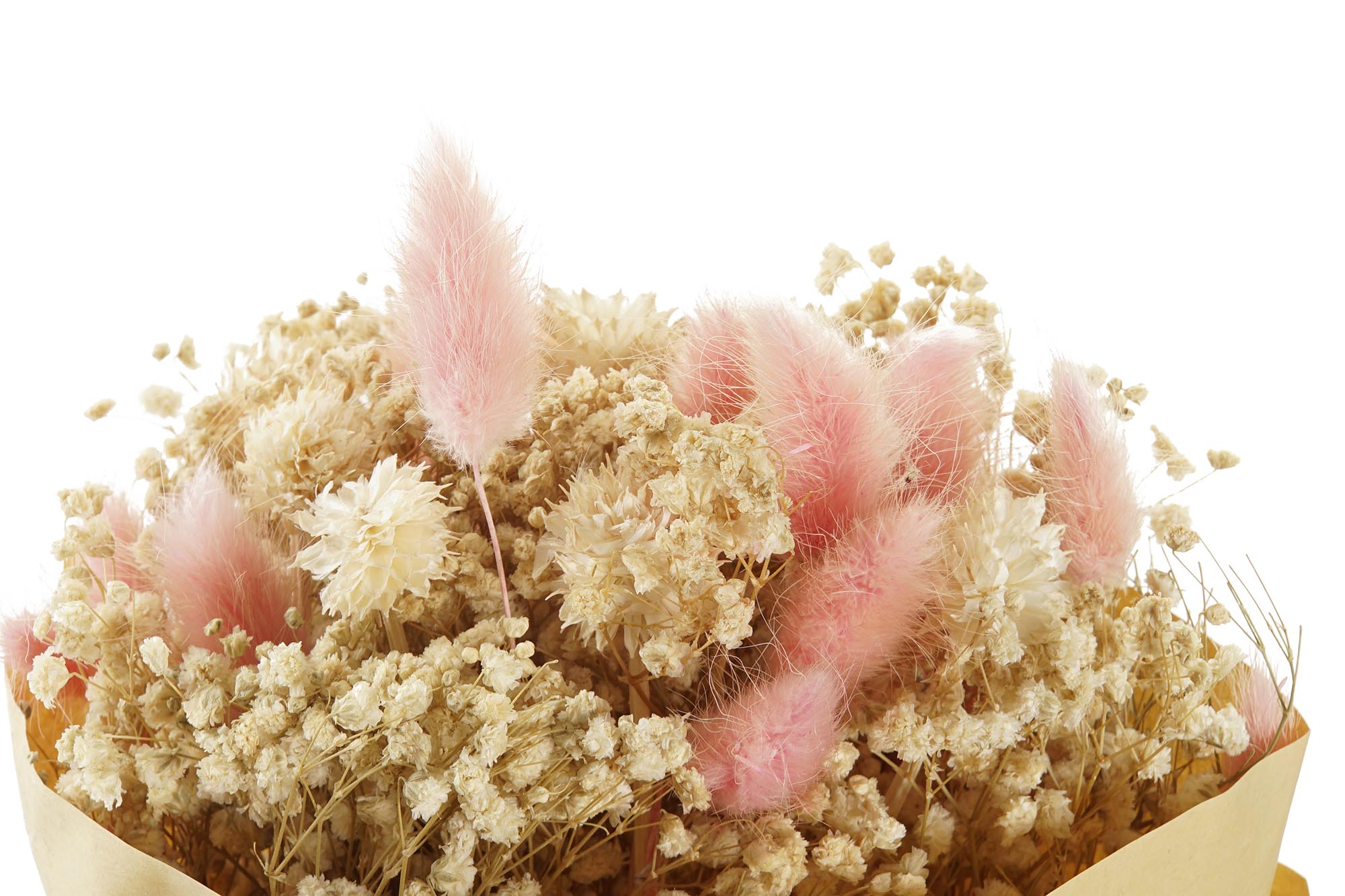 PACK DE 4 RAMO FLOR SECA 8X7X44 2 SURT.