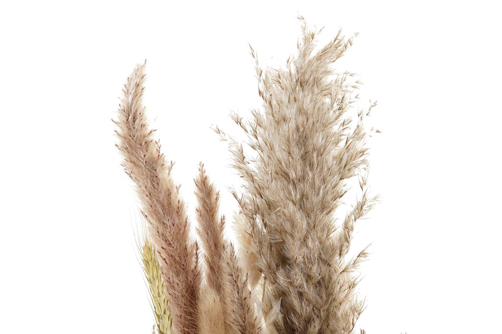 PACK DE 6 RAMO FLOR SECA 12X3X53 MARRON